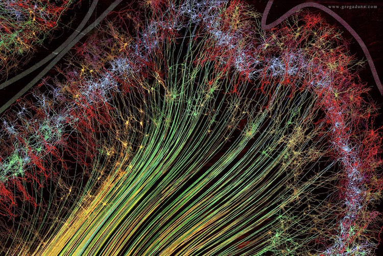 Beyin Taramasından Sanat Yaratan Bilim İnsanları 1. Fotoğraf