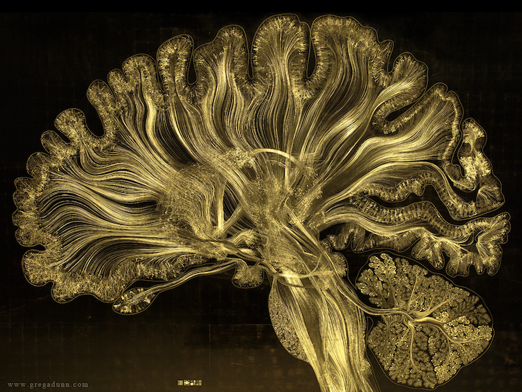 Beyin Taramasından Sanat Yaratan Bilim İnsanları 10. Fotoğraf