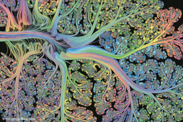 Beyin Taramasından Sanat Yaratan Bilim İnsanları 3. Fotoğraf