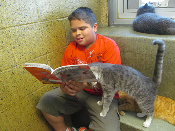 Kitap Dostu Çocuklar ve Kediler 10. Fotoğraf