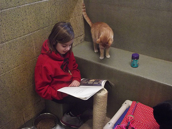 Kitap Dostu Çocuklar ve Kediler 7. Fotoğraf